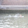 IMG_805117