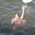 IMG_805129