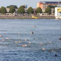 IMG_805142