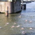 IMG_805143