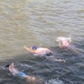 IMG_805153