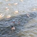 IMG_805157