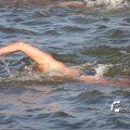IMG_805159