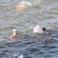 IMG_805161