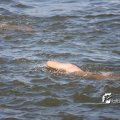 IMG_805164