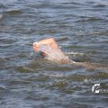 IMG_805165