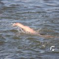 IMG_805166