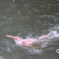 IMG_805177