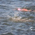 IMG_805191