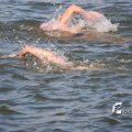 IMG_805192