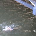 IMG_805193