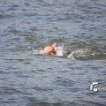 IMG_805268