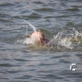 IMG_805279