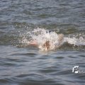 IMG_805298