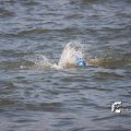 IMG_805344
