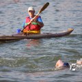 IMG_805346