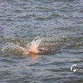 IMG_805420