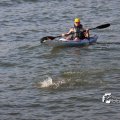 IMG_805484