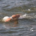 IMG_805485