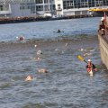 IMG_805494