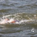 IMG_805527