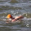 IMG_805529