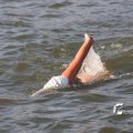 IMG_805533