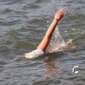 IMG_805534