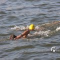 IMG_805536