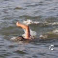 IMG_805538