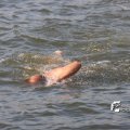 IMG_805539