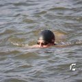 IMG_805554