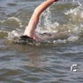 IMG_805558
