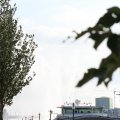 IMG_805575