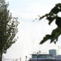 IMG_805576