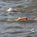 IMG_805578