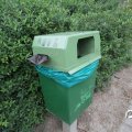 IMG_806243
