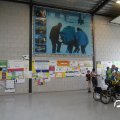 IMG_806378