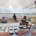 IMG_806697
