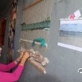 IMG_806555