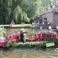 IMG_807532