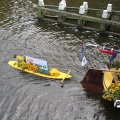IMG_807602