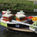 IMG_807638