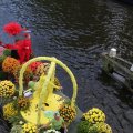 IMG_807646
