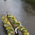 IMG_807665