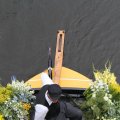 IMG_807667