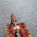 IMG_807668