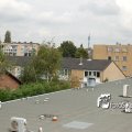 DSC_4200_13-08-2011