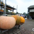 IMG_808403