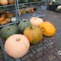 IMG_808404